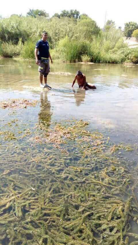 acharam um corpo dentro do rio, chamaram o iml, mas era só um bêbado cochilando