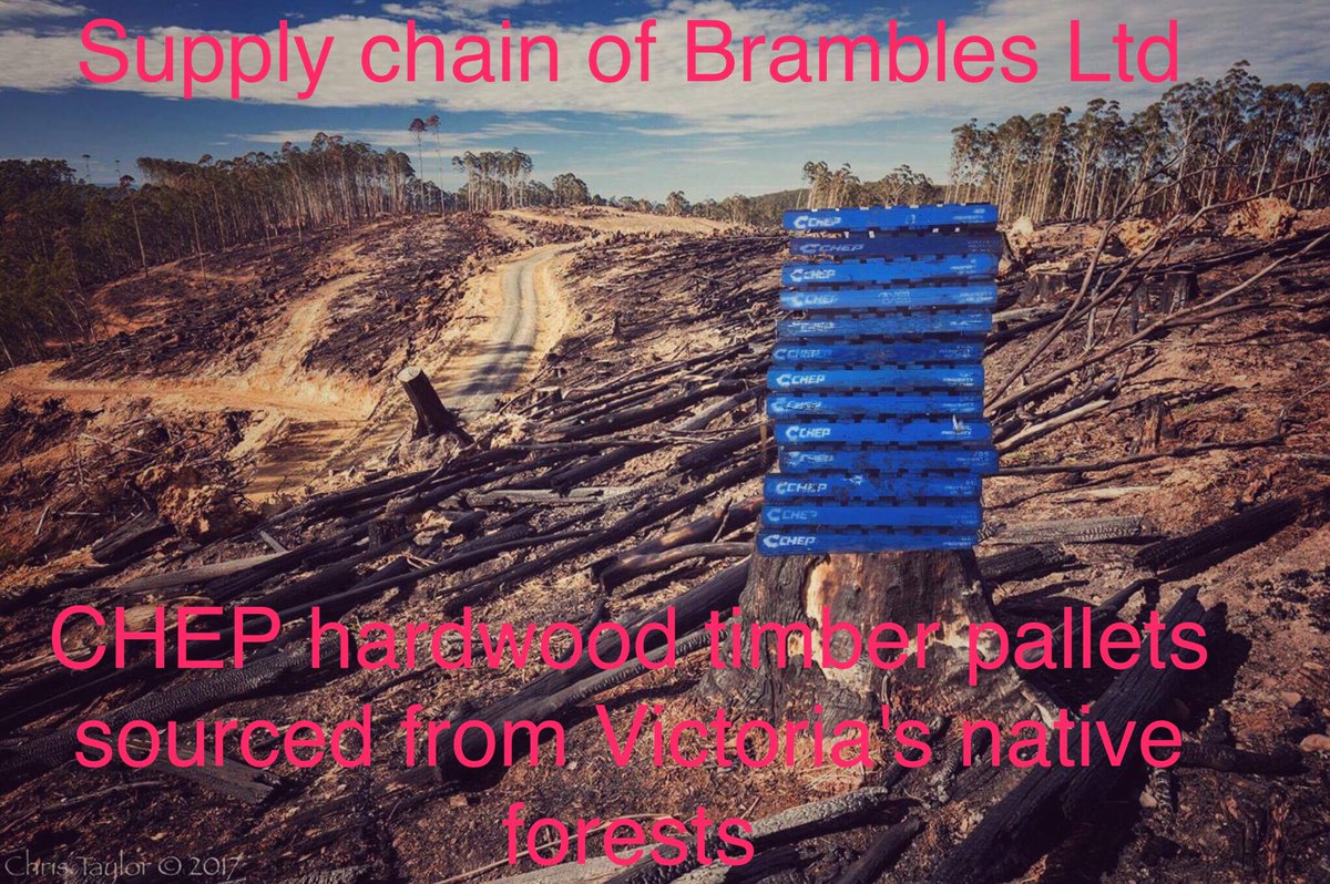 LeroyLeadbeater's tweet photo. @brambleslimited @FSCaustralia @CHEP_au @CHEP Maybe it's time to visit @brambleslimited AGM, Sydney, 18 October 2017 !? #ChepPallets #Chep #SaveLeadie https://t.co/IfKyPrrCVk
