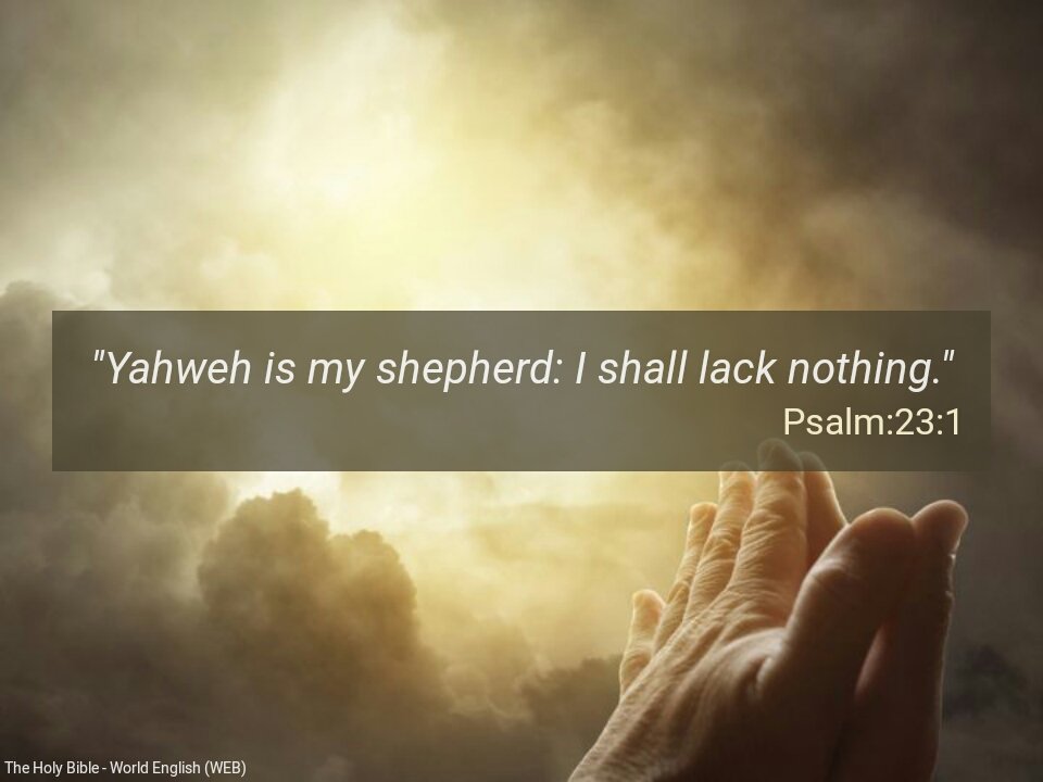 Pedro Beta (@pedro_sodre1991) on Twitter photo 