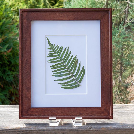 DestinationUrbn's tweet photo. https://t.co/9SuvR0TByy

Shop our latest collection #western #nature #fern #design #art #decor #homedecor #pressed #artforsale #likeforfolow https://t.co/H5dBP8Vo55