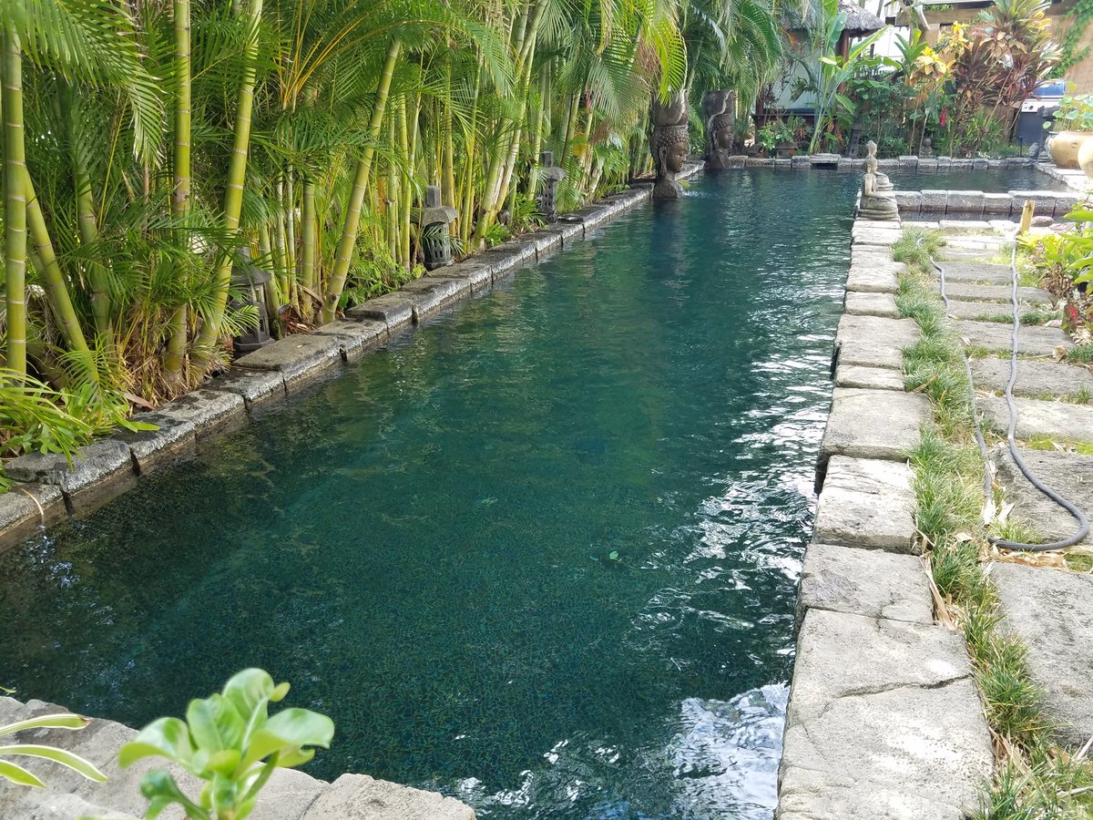 JustAPoolGuy's tweet photo. https://t.co/7YeqjdqrtN