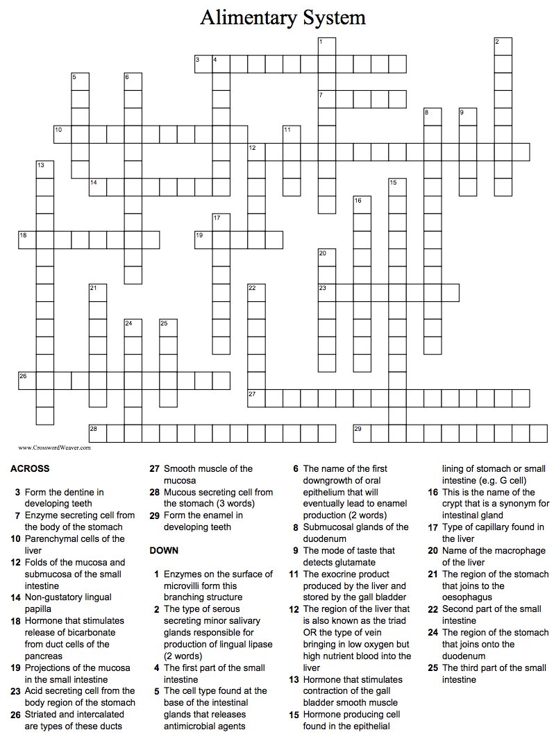 How's your histology of the alimentary system? Have a go at this crossword that I created! (Beware: it's quite detailed!)