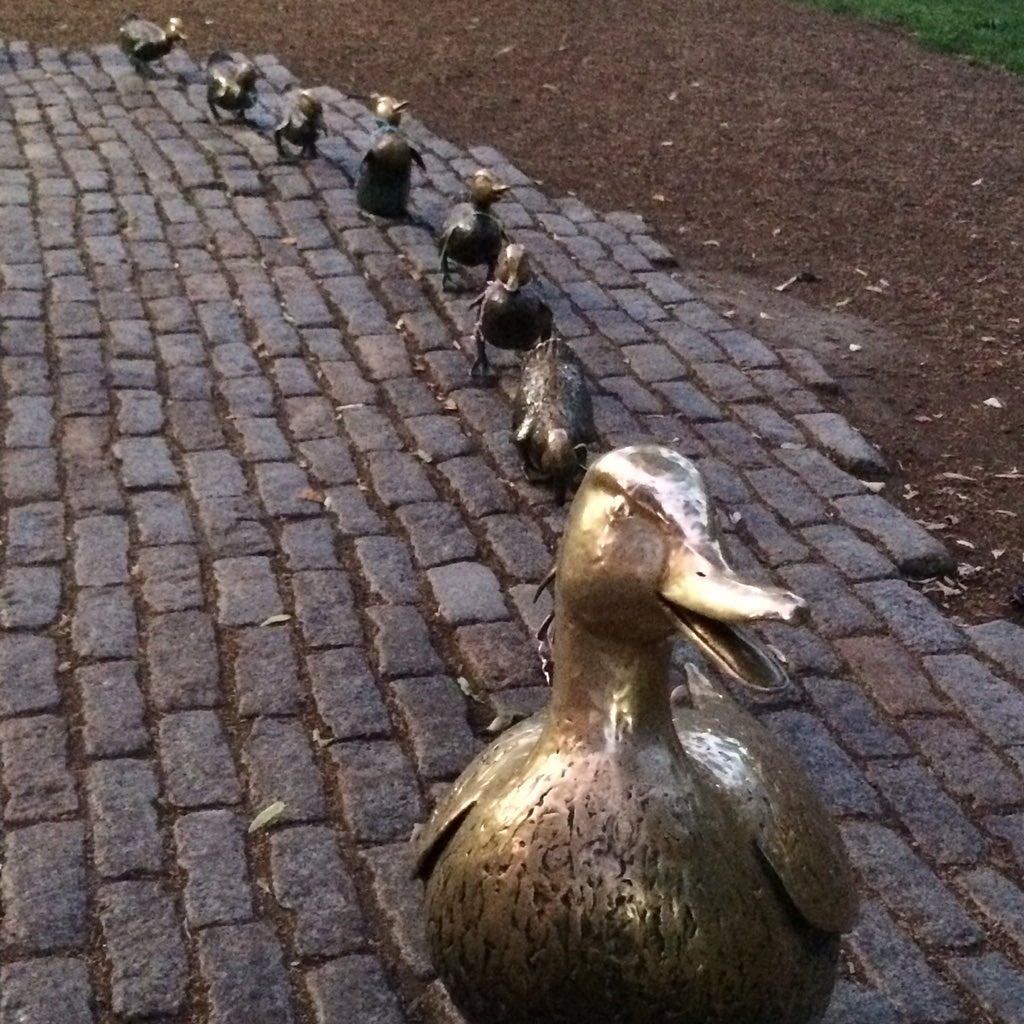 Greg1954's tweet photo. @JosPearce @IMcMillan @allanjenkins21 @AndrewPoetry ...Boston Common...!! #makewayfortheducklings https://t.co/WSFxveYtGv