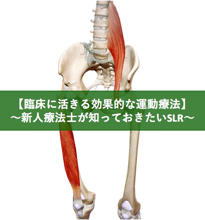 リハビリテーション臨床校フィット 臨床に活きる効果的な運動療法 新人療法士が知っておきたいslr リハ室に迎えてすぐにベッドに寝てもらってテンプレート化したアプローチをしているセラピストへ 理学療法士 作業療法士 勉強 T Co