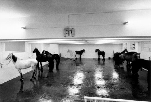 Exibart's tweet photo. Addio a #ClaudioAbate. Il grande fotografo è scomparso questa mattina a Roma, aveva 74 anni: https://t.co/iOflarhGy4 https://t.co/rIMEhe2zvg