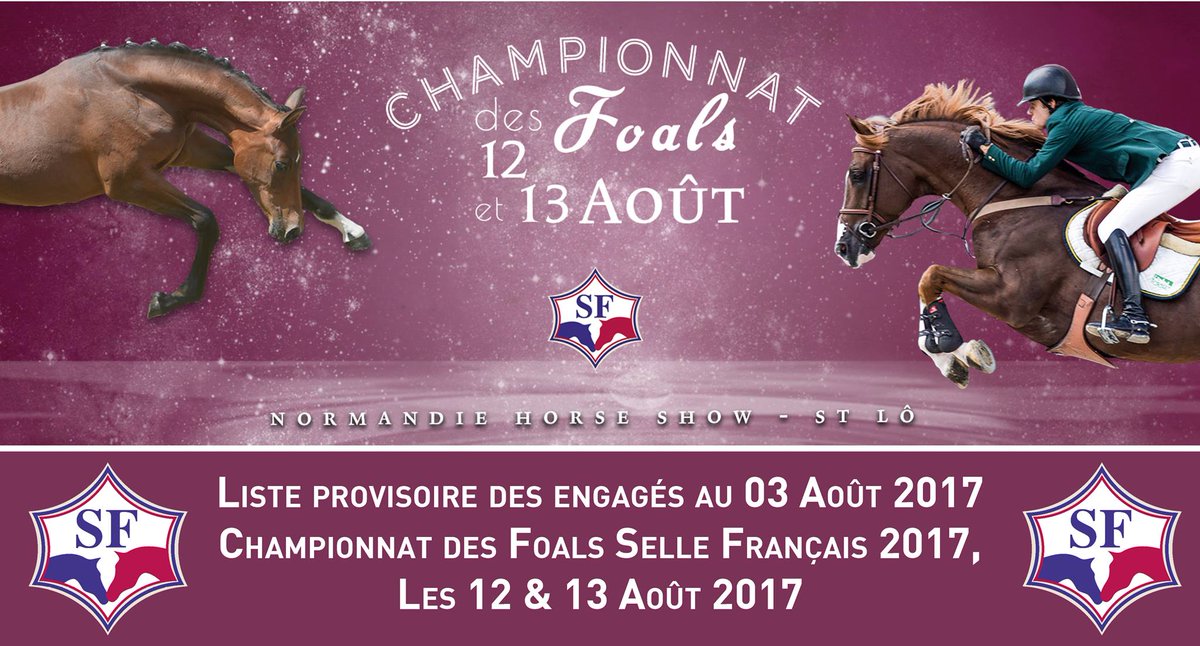 Selle Français tweet media