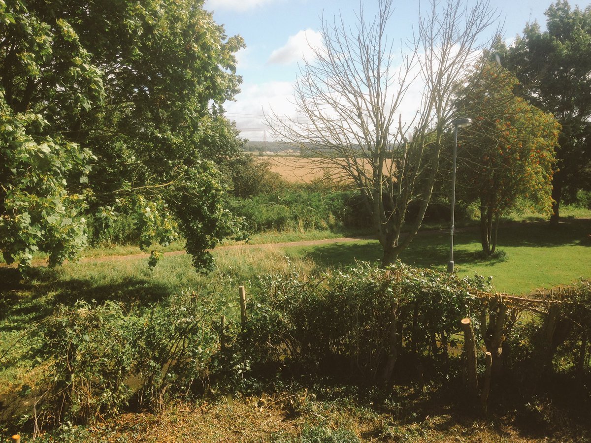 MJWProperty tweet picture