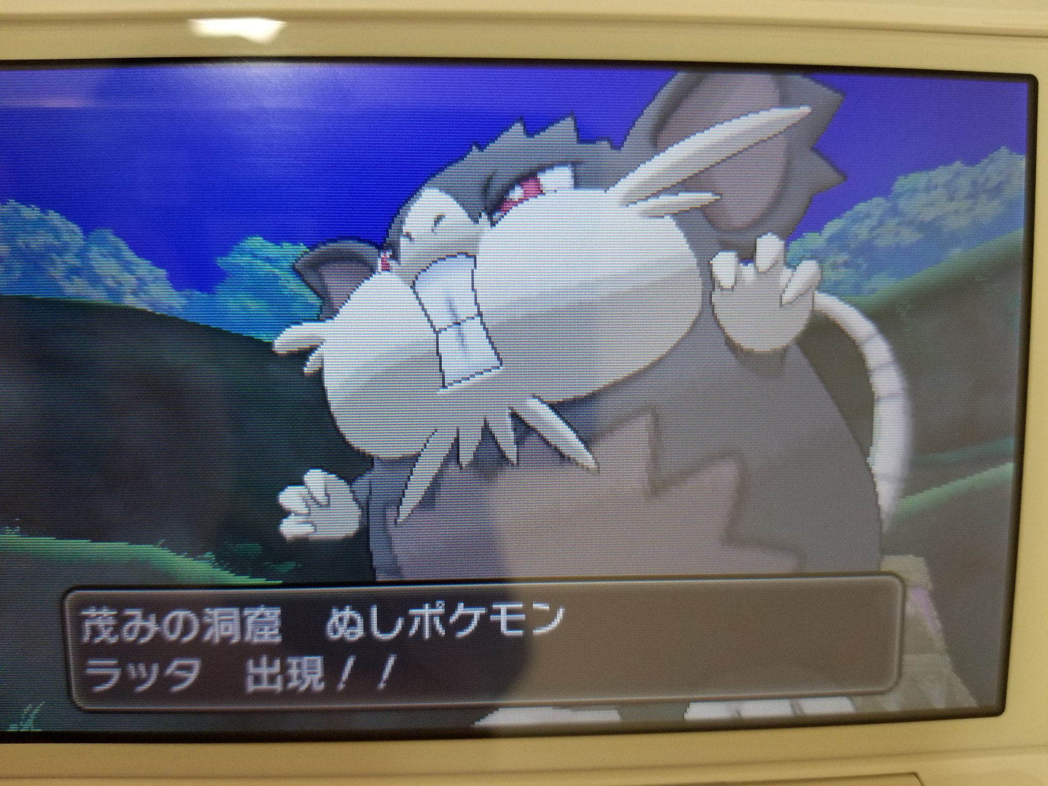 ぬしポケモン Twitter Bilaketa Twitter