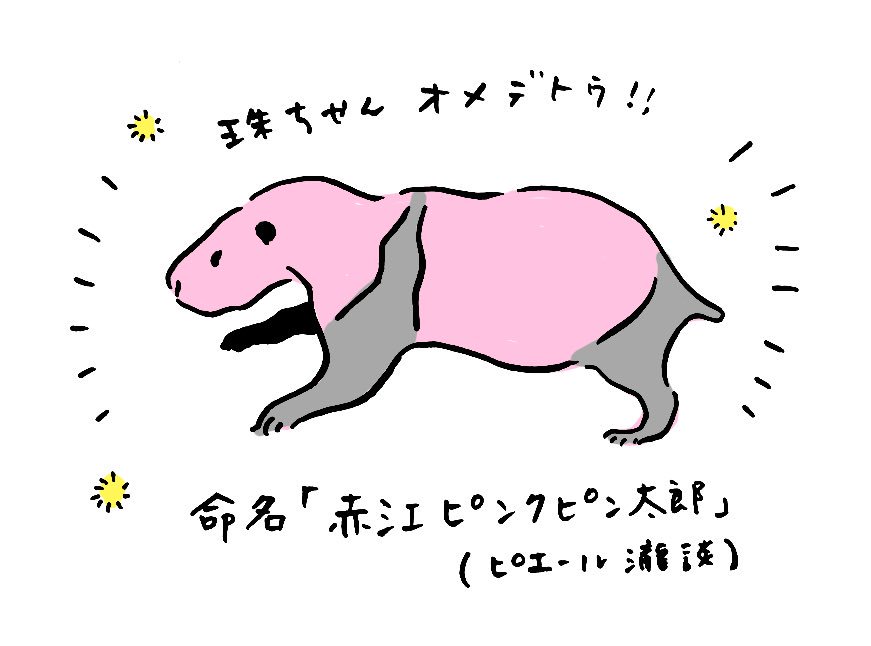 赤江珠緒の旦那や子供の年齢や名前は 結婚の決め手が意外すぎる Sani Lessons
