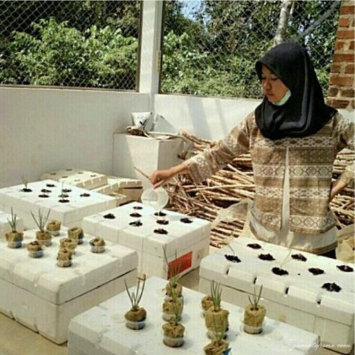 TigamatapenaCom's tweet photo. Hidroponik “Jadikan Teknologi Jempolan Pertanian”
@HidroponikID #pertanian #hidroponik https://t.co/7cQNGhvknb https://t.co/4YMkrdtG5J