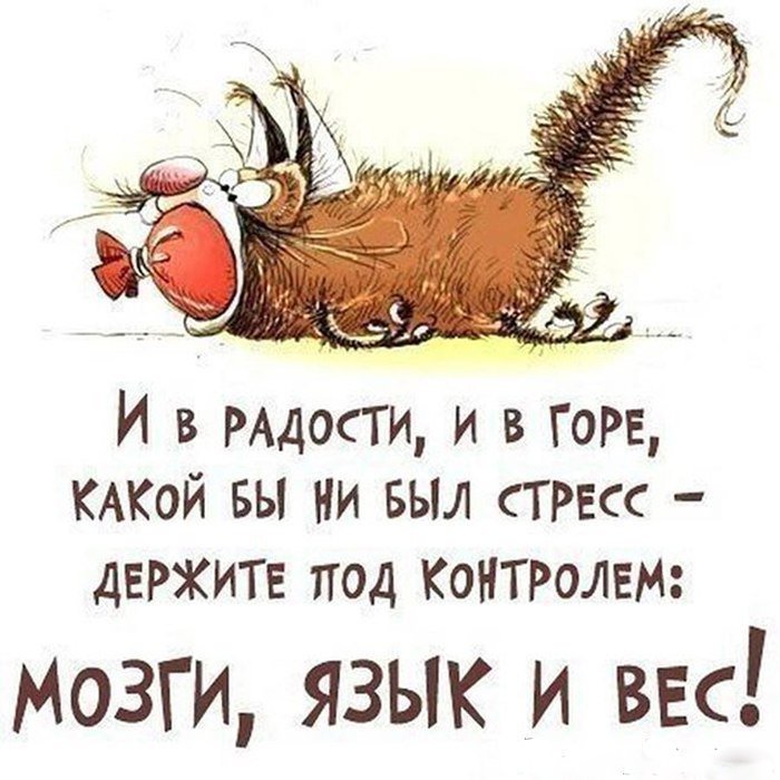 Совет дня в картинках прикольные с надписями, добрым
