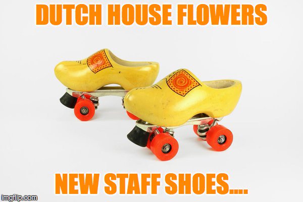 DHFlowersLtd's tweet photo. #dutchhouseflowers followers... We're SO busy, have a brew while you queue! Our staff are doing a great job. Our clogs can only go so fast! https://t.co/v5hz3N59bw