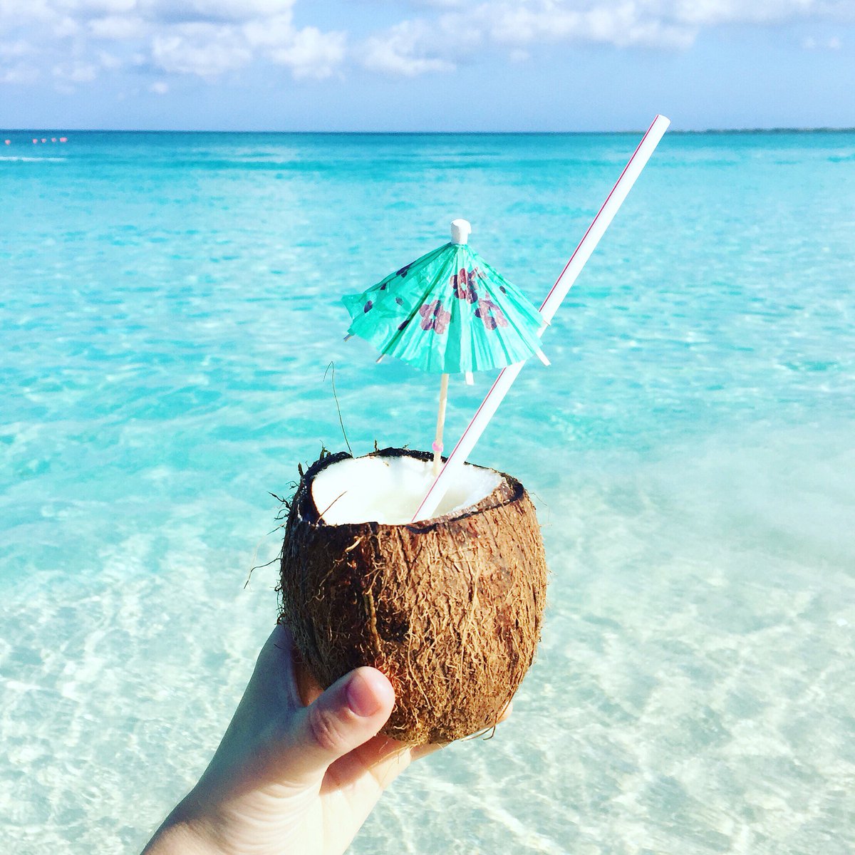 RussellHobbsFra's tweet photo. Un cocktail sous le soleil, sur la plage ? On dit oui ;) https://t.co/Mn4wj8XPnu