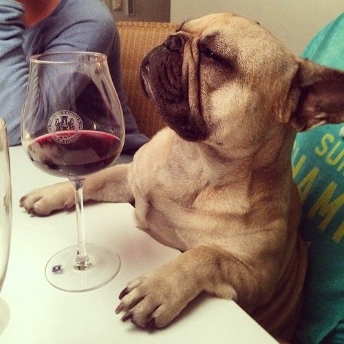 winewankers tweet picture