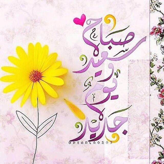 Shahodaaa09's tweet photo. https://t.co/aUOUZaDKwb