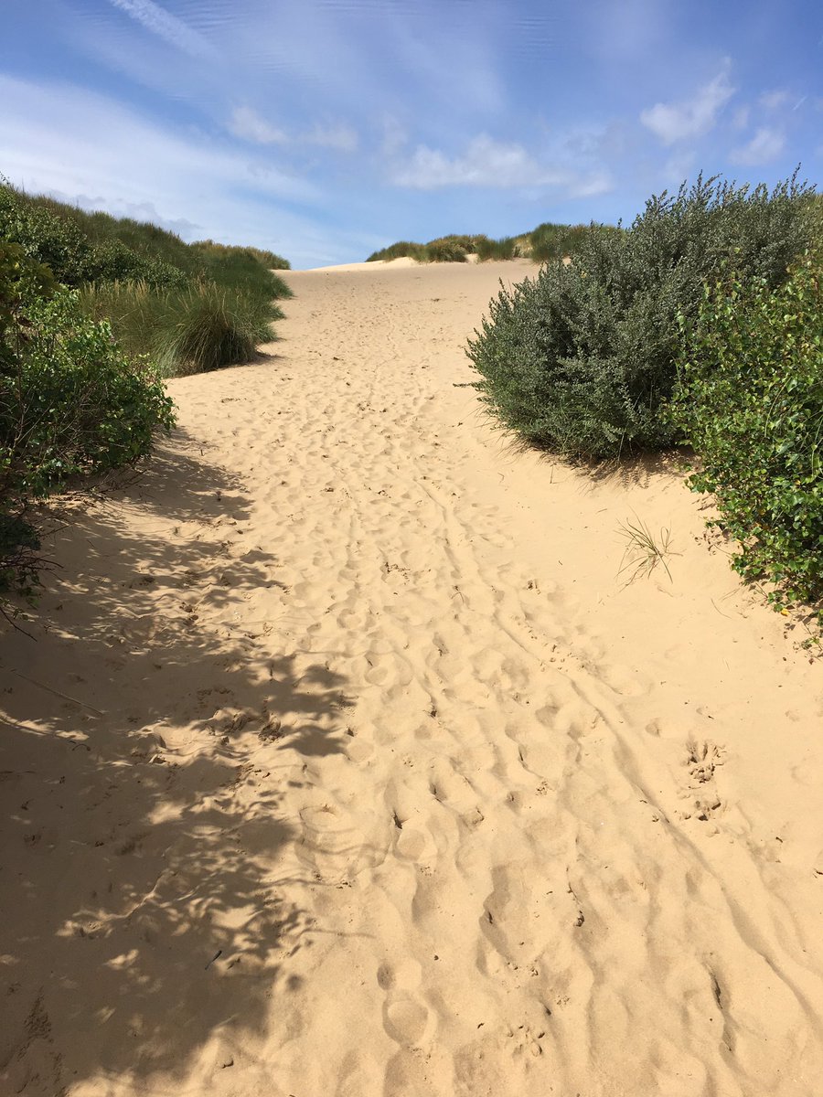 billyandthebee's tweet photo. fantastic day at Formby beach #Liverpool #formbybeach #driftwood #shells. I always want to take a peice of the beach home with me #tranquil https://t.co/OMIT686ung