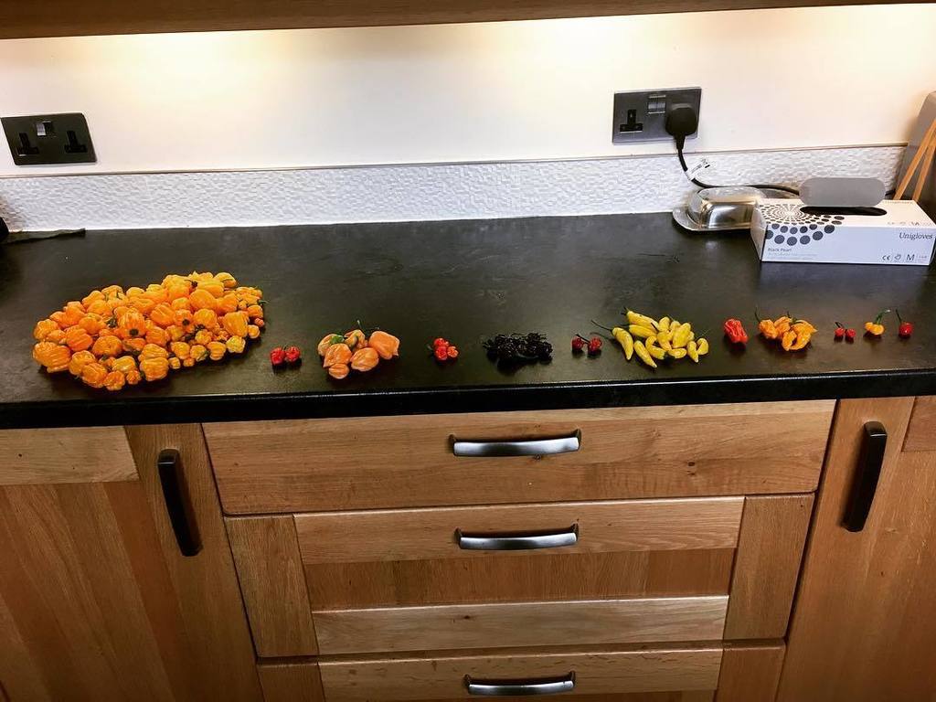 screaming_chimp's tweet photo. The #chilli #planets are all in #alinement. Some big is on the horizon. #keepempealed #chillilovers #freshfood #fr… https://t.co/GX1riJDWhL https://t.co/BtvmhU0xYQ