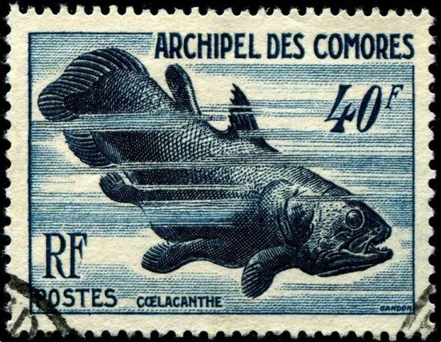 nightshift003's tweet image. The Sunless Sea nightshifthistorian.com/2017/08/03/the…