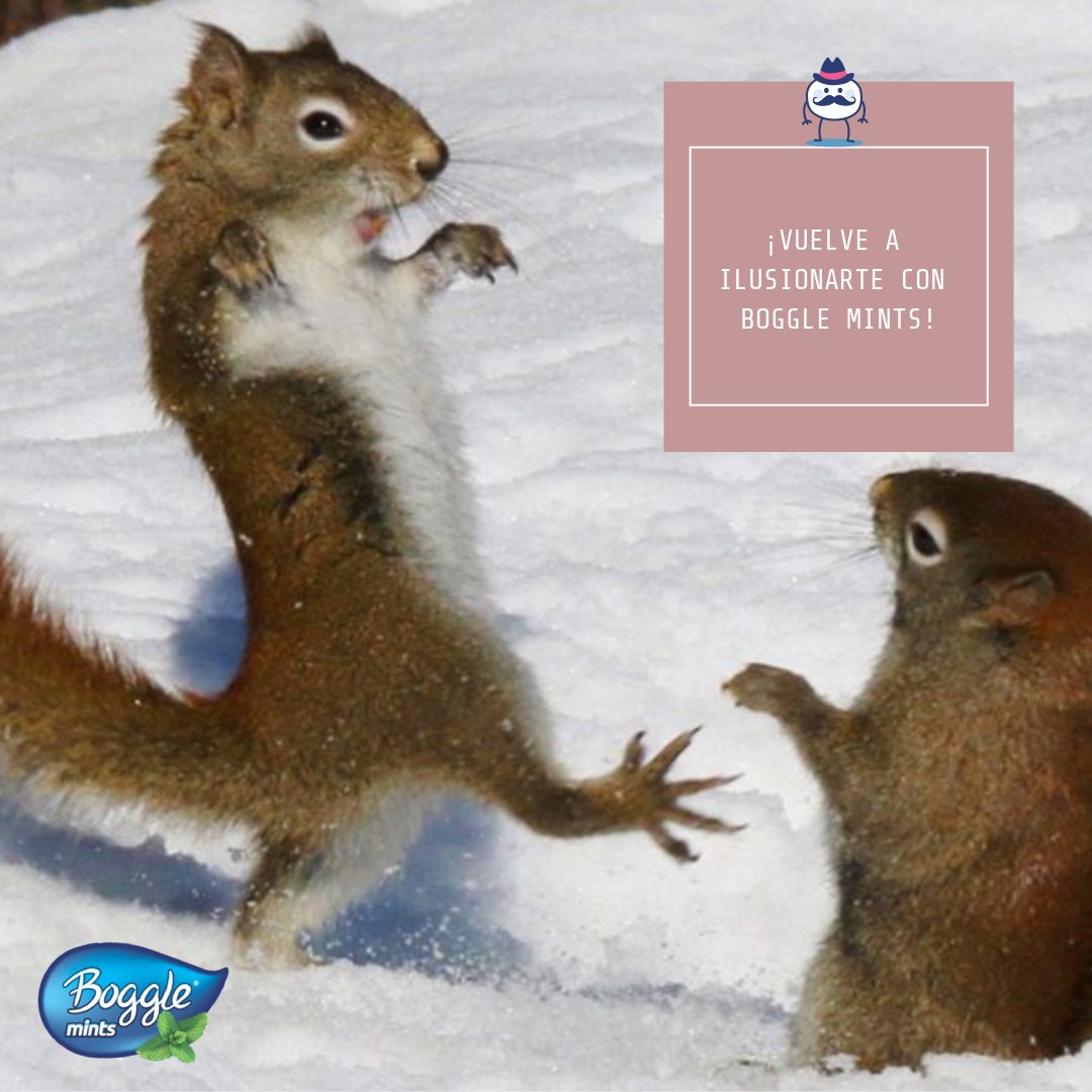 Boggle Mints (@booglemints) | Twitter