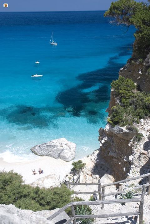 diciamocidisi's tweet photo. Riuscite ad immaginare una #cerimoniasimbolica o un #partynight in questa spiaggia? Noi si....
Sardegna https://t.co/npmbEB6uy9