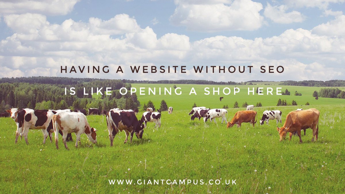 GIANT_campus's tweet photo. Step 1: Get a website. Step 2: Let people find it. Step 3: make loads of money. What do u mean you're still on step 2 #seo #digitalmarketing https://t.co/ePEYvY3RJ4
