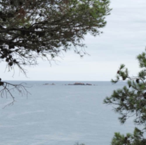 blueBILBAO's tweet photo. Buenos días :) de #Summertime descubriendo preciosos rincones de #Girona y #CalelladePalafrugell https://t.co/jBrvS8vLmK ¿Sabes el nombre? https://t.co/UH05BUK2xy