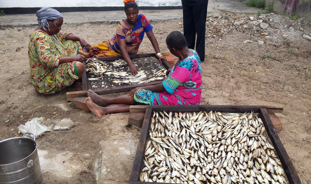 CVM_APAtanzania's tweet photo. Cooperative of Women in fish processing, independence and emancipation #africa #tanzania #bagamoyo #ThursdayThoughts @CVM_AN @FOCSIV @IDWFED https://t.co/AjlSg998RI
