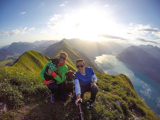 BerneseOberland's tweet photo. What a great pic from Augstmatthorn from @la.push.
________________ 📷: @la.push #augstmatthorn #harder #bernerobe… https://t.co/rt2MopyOxw https://t.co/LFDf3K9iRc