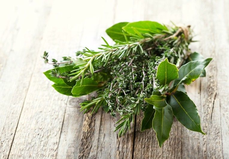 Kalulu_it's tweet photo. Le erbe aromatiche. Ricette di Francesca Barberini https://t.co/ltS6HqYkhj @Cucina_Italiana #erbearomatiche #alleatedellacucina #timolimone https://t.co/zv85hY8xJc