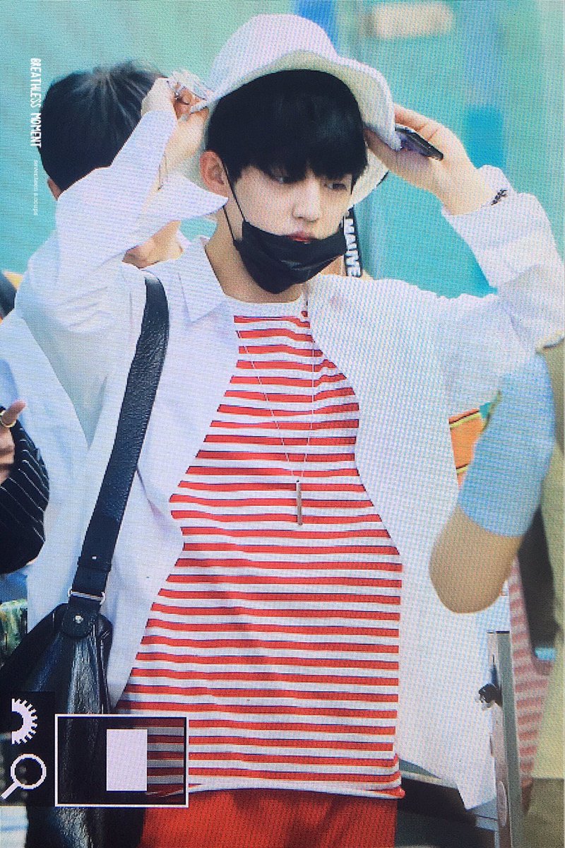 최또삐 tweet media