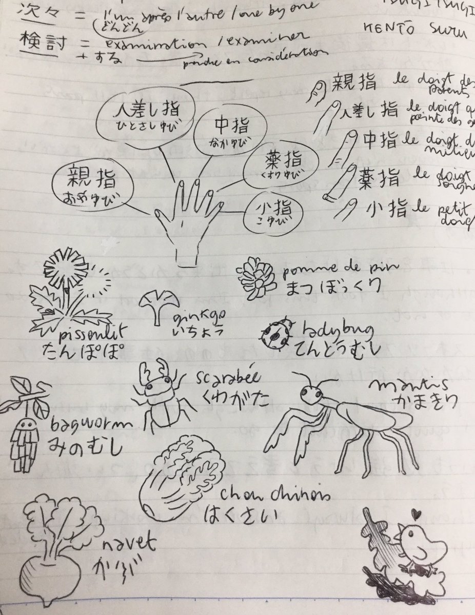 僕の日本語帳は格好悪い落書きだらけだ。(虫の絵はよしだじゅんこの「子供図鑑」から絵が書き写した) 