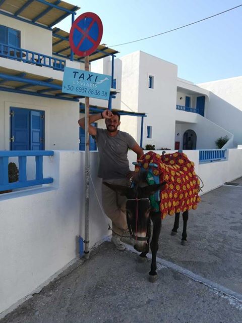 FindinGreece_'s tweet photo. #goodmorning ! #taxi service anyone? #Greece #greekislands #commuter #MorningRide #DonkeyOfTheDay #donkeyride #joinus https://t.co/1myqIhK3GF