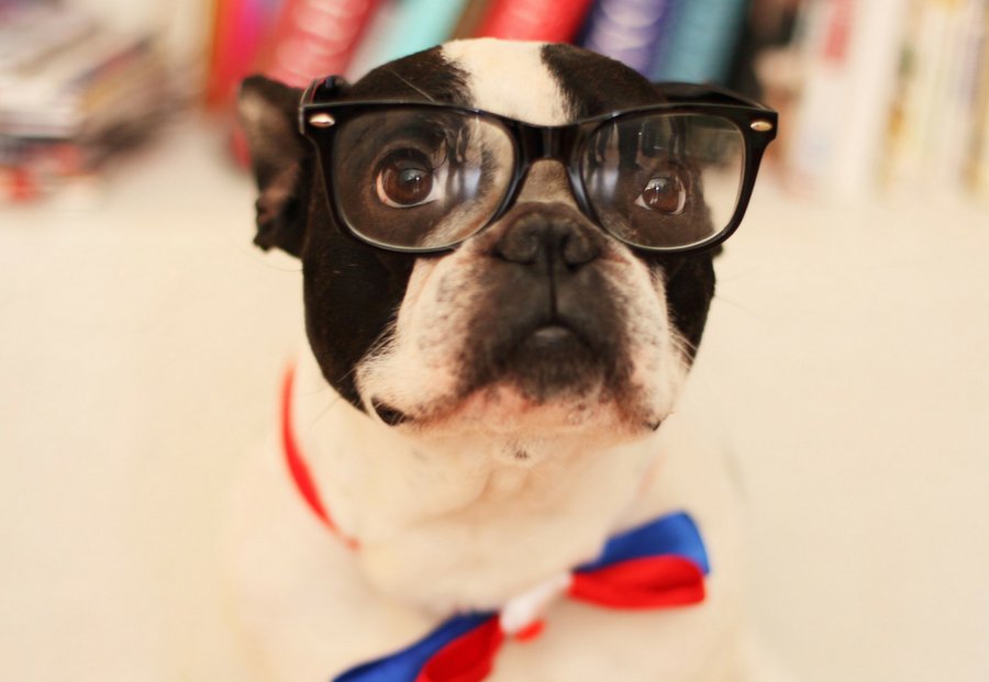 1Parkev_'s tweet photo. ¡Descubre las ventajas de hacer Embajador Opticalia Callao!
Recomiéndanos a tus amigos :)
https://t.co/Sd4Uw08mQe https://t.co/SWUJ3SRaZh