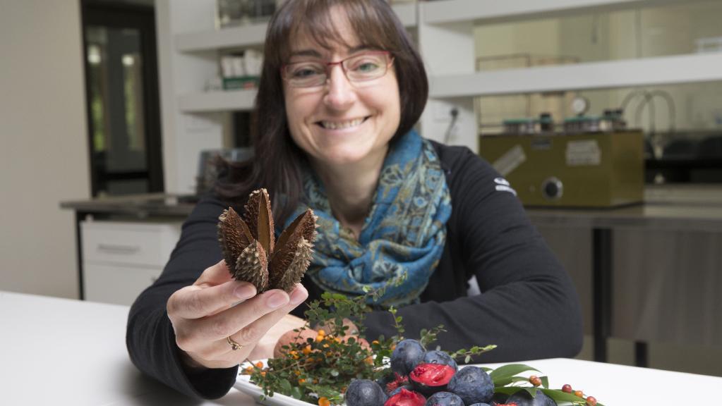 BotanicSydney's tweet photo. Vital research at Plant Bank at @AustralianBG aims to save rainforest species from extinction @dailytelegraph https://t.co/DssW2v661F https://t.co/V4pqu0PdOI