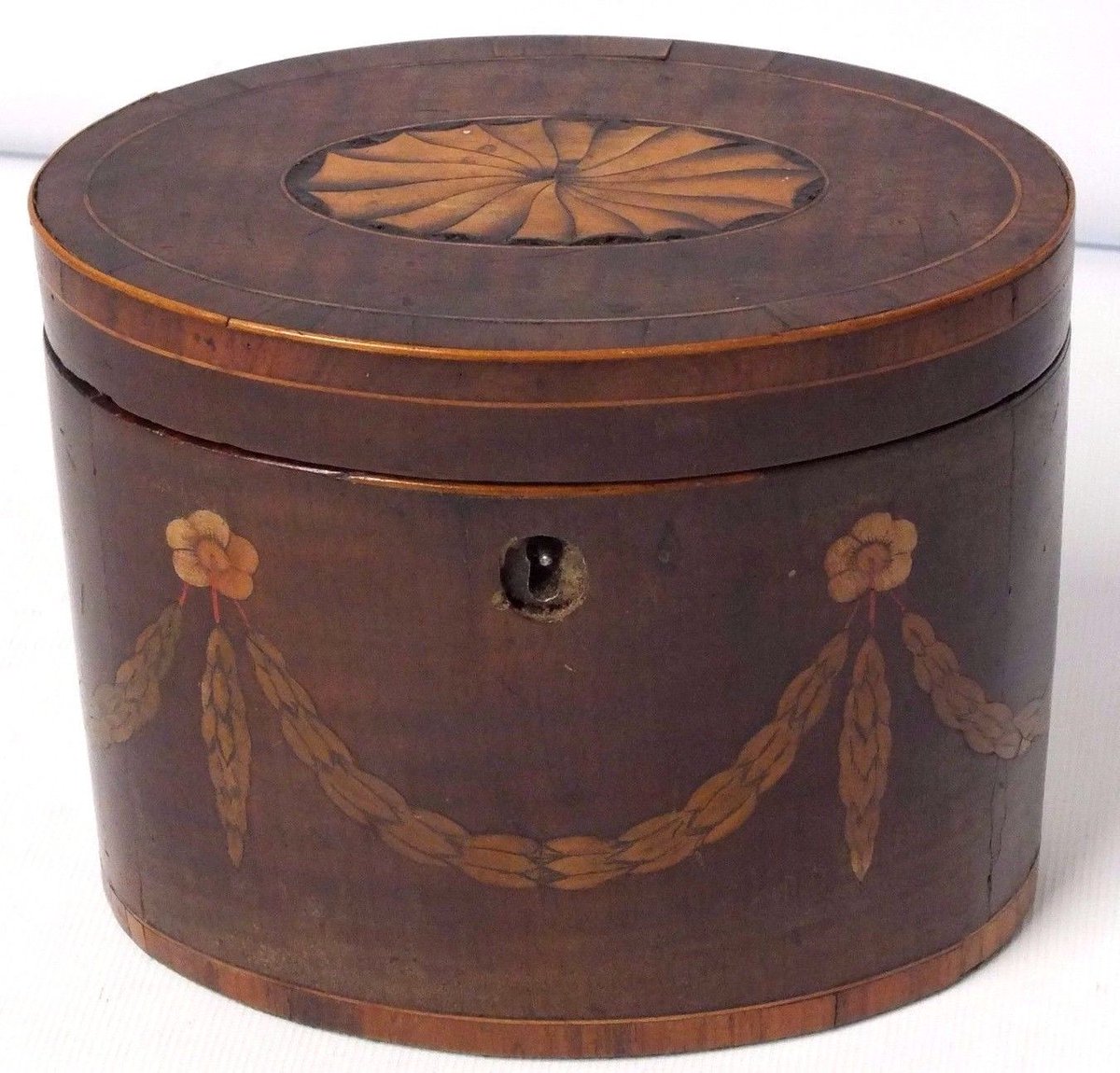 St Elizabeth Hospice tweet media