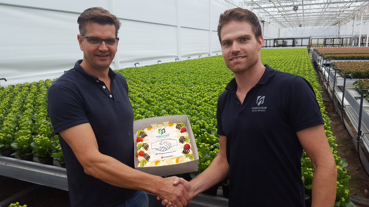 Horticoop's tweet photo. Deze week verwelkomen we GP Powerplants als volledige klant van Lentse
Potgrond. Dat vieren we met een heerlijke taart! #samengroeien https://t.co/8HWZlpvJmQ