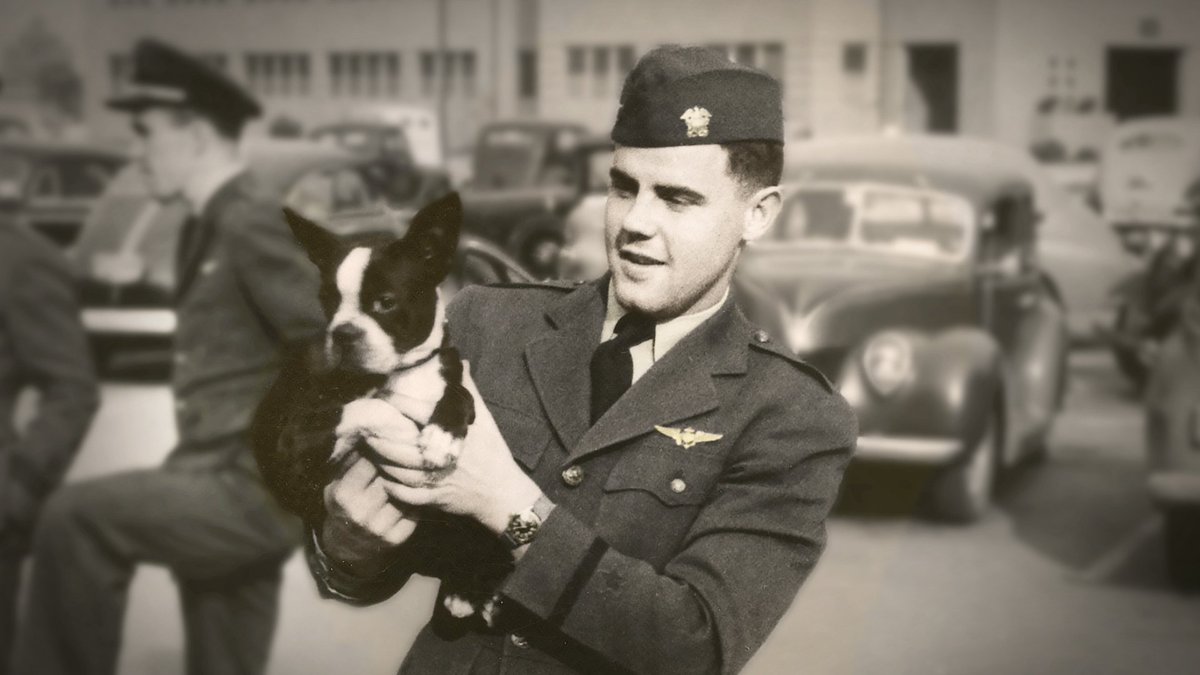 <a href="/bostonsarebest/">Boston Terrier</a> The story of a Boston Terrier during WWII: THE TERRIER AND THE HARE. youtu.be/cW4Ue6DHFzw