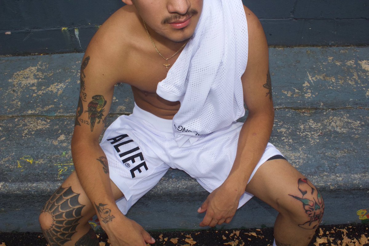 Alife™ tweet media