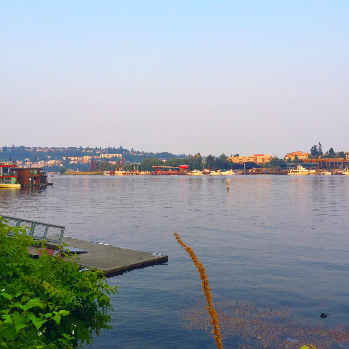 CourtStrand's tweet photo. Early morning shake out run before the #Seattle heat wave #CourtRuns #LakeUnion #UpperLeftUSA #Running #ViewFromMyRun https://t.co/rdQwJUFL0y