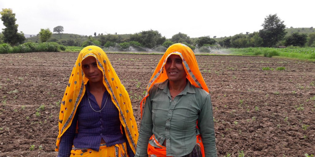 wellsforindia's tweet photo. An irrigation system means the world to a farmer. More crops, using less water, enabling a secure future. https://t.co/oA774AgFHb
💧💧💧 https://t.co/fJavGqYxPn