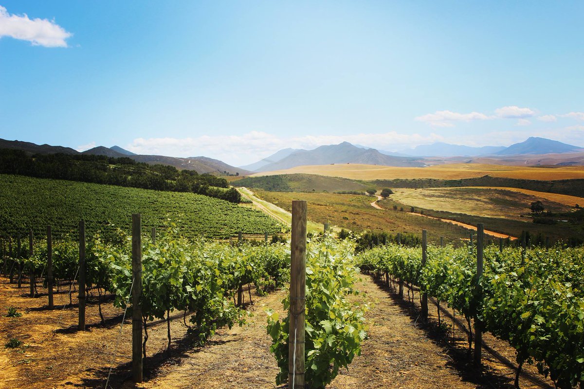 Winery of the Week: The Drift Farm wineonaplatter.com/wine/hotpicks @TheDriftFarm #Platters2017