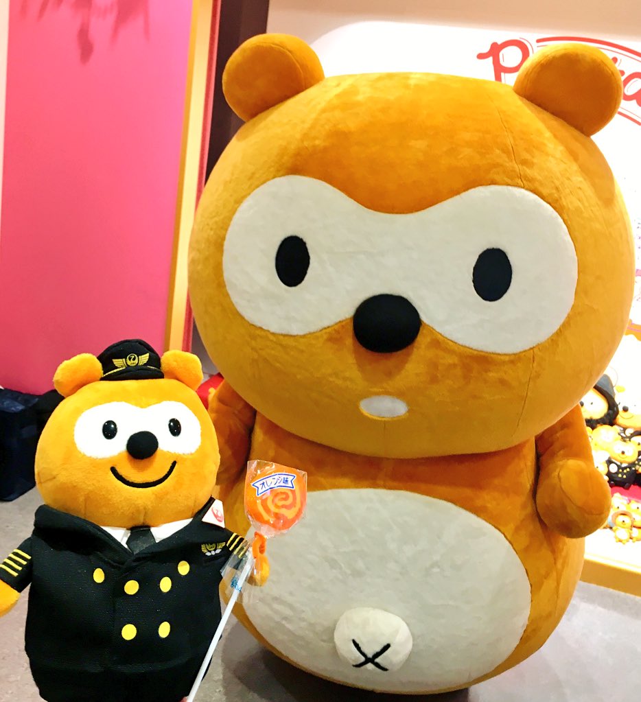 好きに 野生動物 ファーストエイド ガイドブックⅡ 獣医 エキゾチック