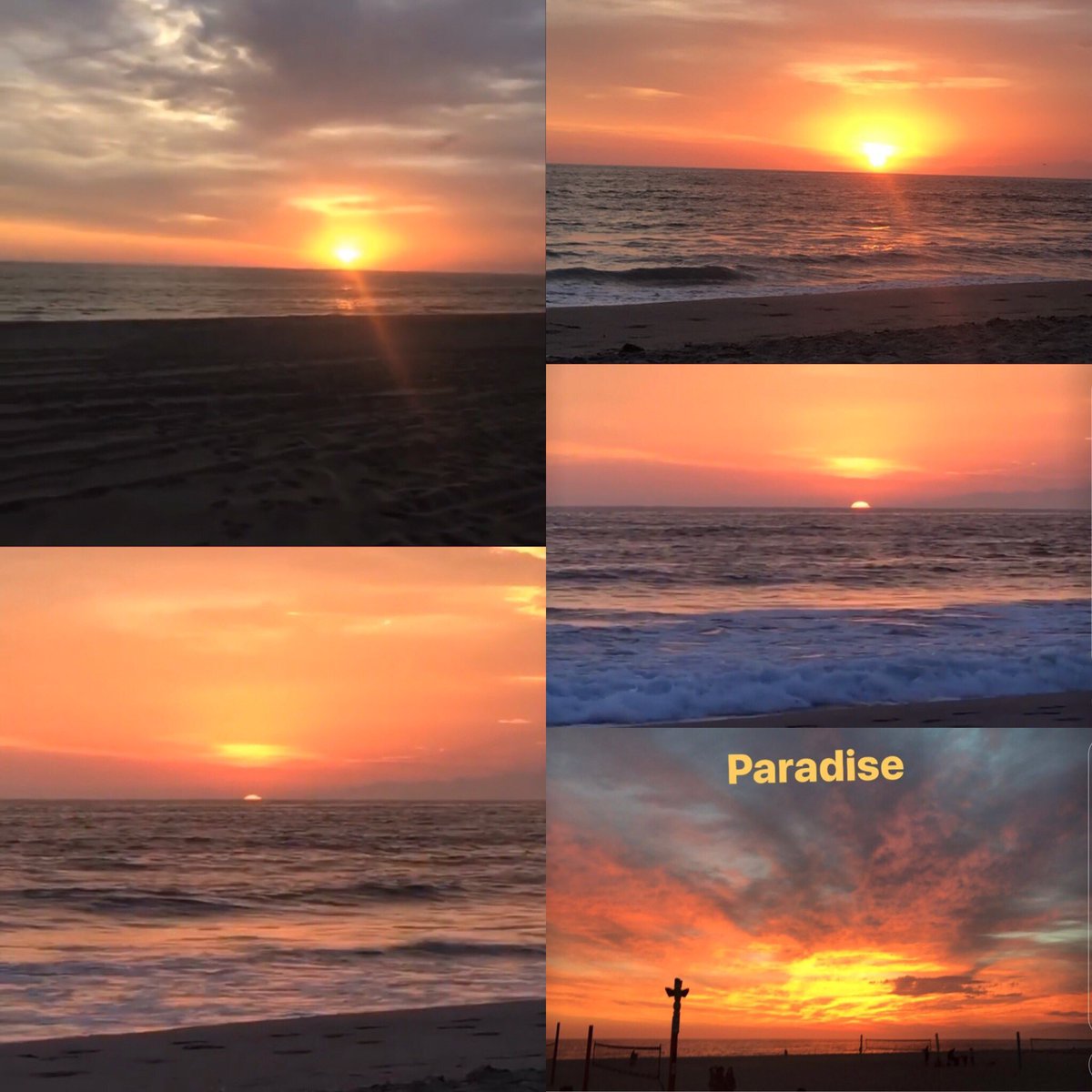 Anna Ferrara tweet media