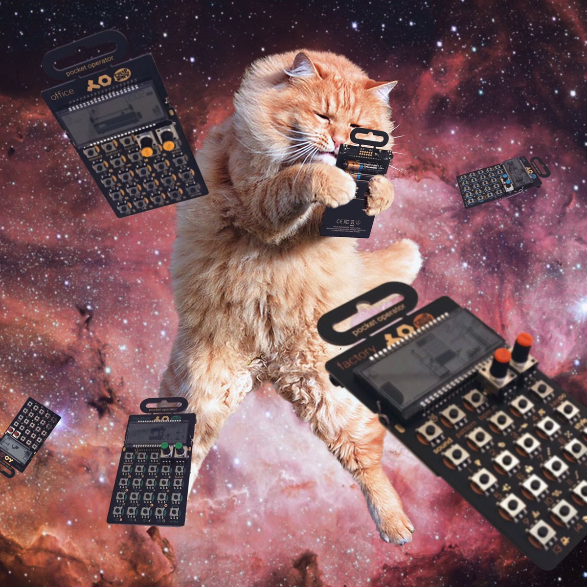 Cats Synths Space On Twitter I M The Opurrator With My Pocket Catculator Catsonsynthesizersinspace Teenageengineering Cats Synths Space Pocketoperator Https T Co C7jzj4mbdh