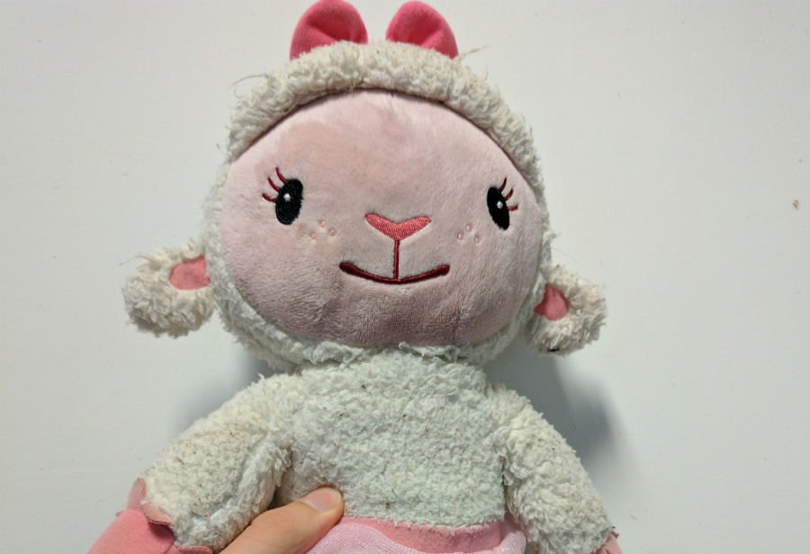 Update: Princess Lamb has found her family! Thanks to all those who shared her story. You helped make a little girl's day.