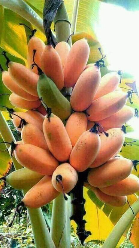 Rohit4Bjp's tweet image. @INCIndia की हालत बिल्कुल ऐसी हैं  😅😅😅 
जय भगवाराज  🙏 @narendramodi 
@RashmiRimmy89 @girl_syko @desh_bhkt @ThePriyalSingh 
#ModiVsCongress