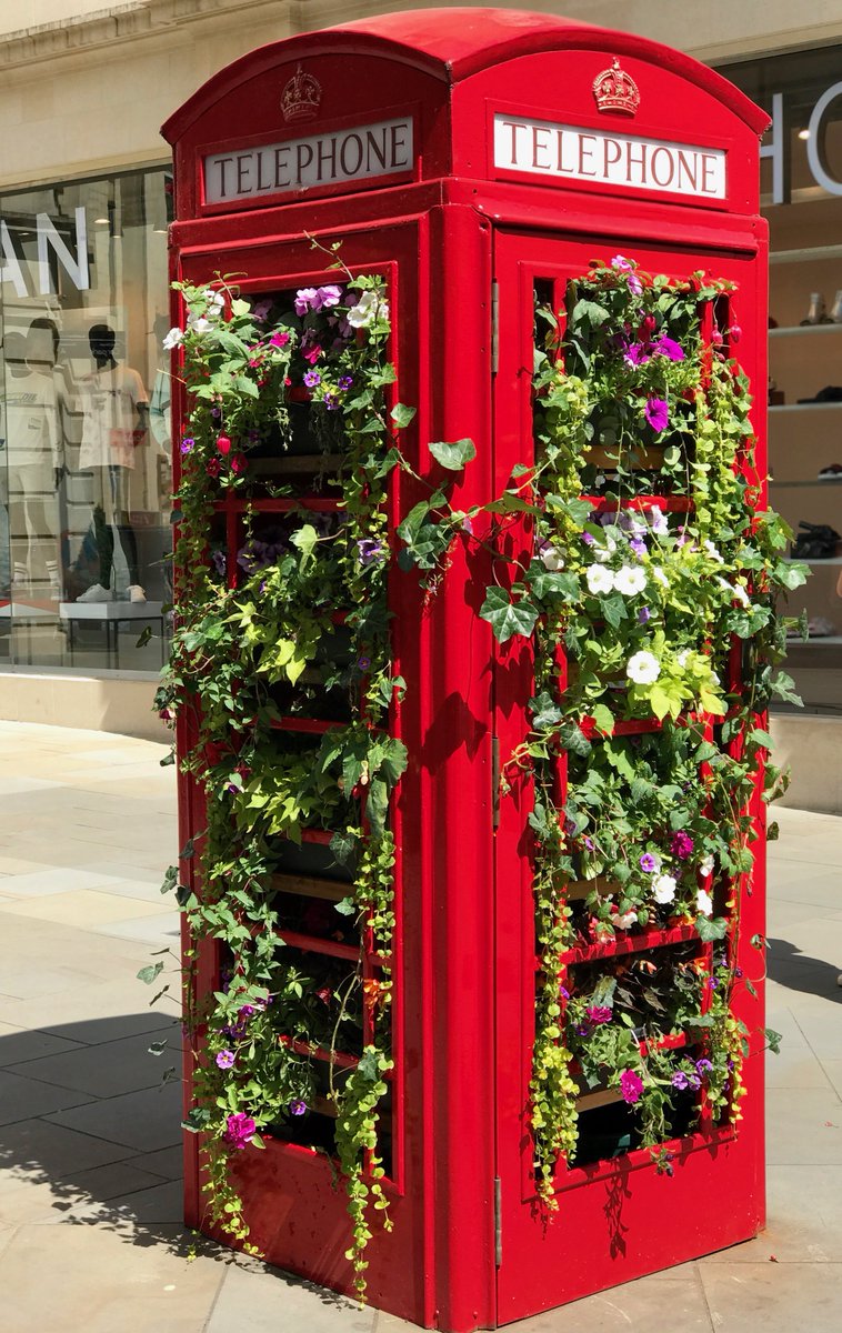 appletreebath's tweet photo. Phone box in bloom #southgate #bathspa #shopping #eat #drink #forall #visit #bath https://t.co/O1mE8op2Bw