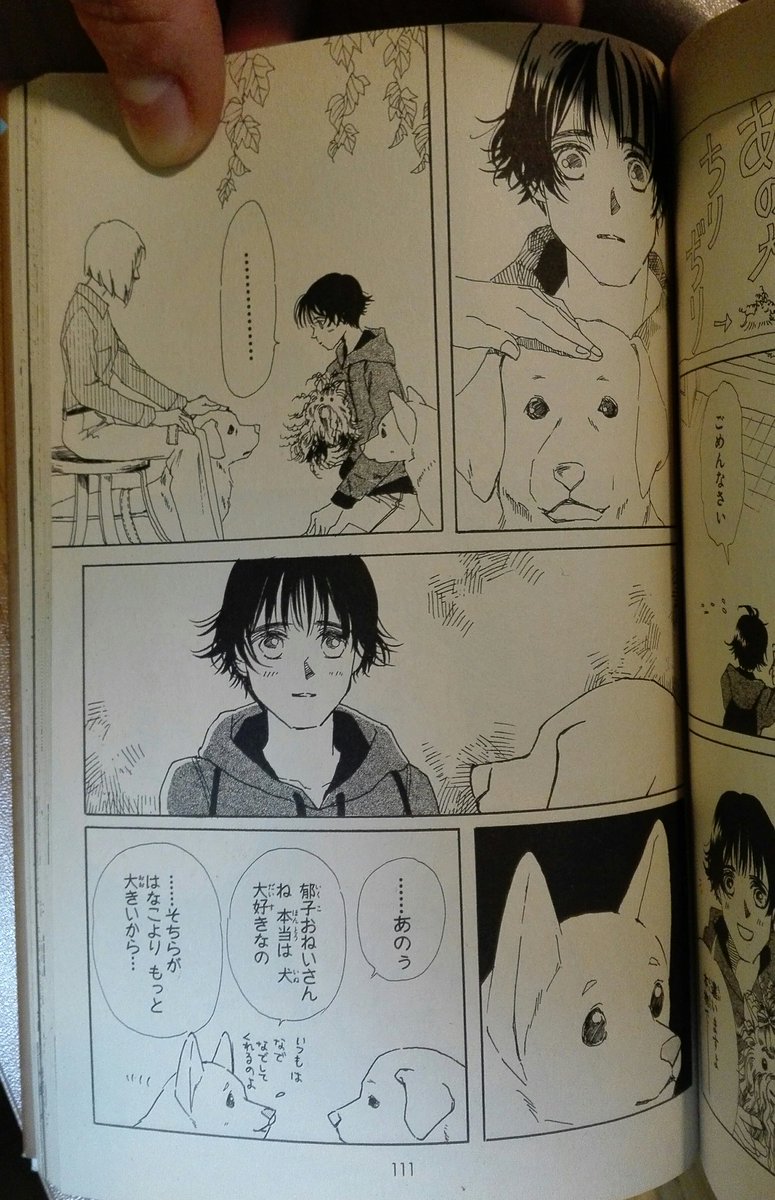 アヴァ 療育通う3y 黄疸0m 盲導犬の事とかの話題を見ると 漫画 まっすぐにいこう 13巻 の このお話を思い出す この漫画今でも大好きなんだー アヴァ 療育通う3y 黄疸0m 盲導犬の事とかの話題を見ると 漫画 まっすぐにいこう 13巻 の このお話を思い出す この漫画今でも大好きなんだー