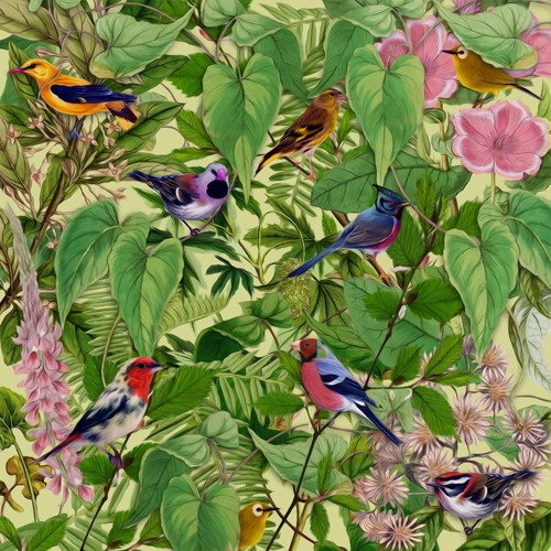 Mark Barrott - Dr. Nimm&amp;#039;s Garden of Intrigue &amp;amp; Delight feedproxy.google.com/~r/indieshuffl…