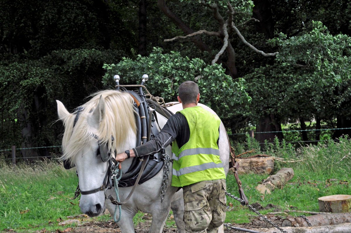 glendalepr's tweet image. The chillinghamwildcattle.com open day saw huge success once again last week! Some snapshots!